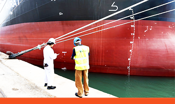 TECHNICAL REPORT WRITING SKILLS FOR CARGO SURVEYORS