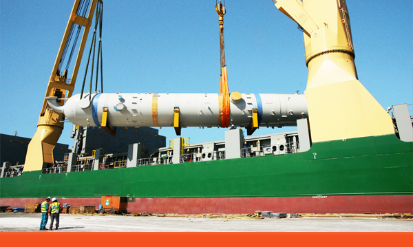 HEAVY LIFT &amp; PROJECT CARGO INSPECTION 