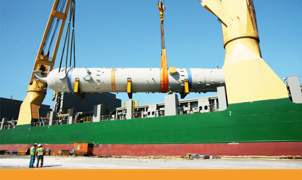 HEAVY LIFT &amp; PROJECT CARGO INSPECTION 